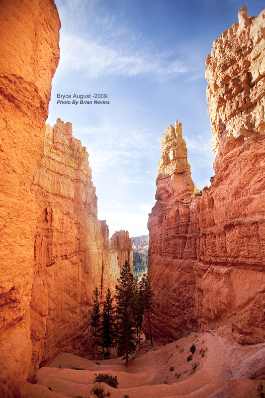 Nevins Bryce Canyon 1