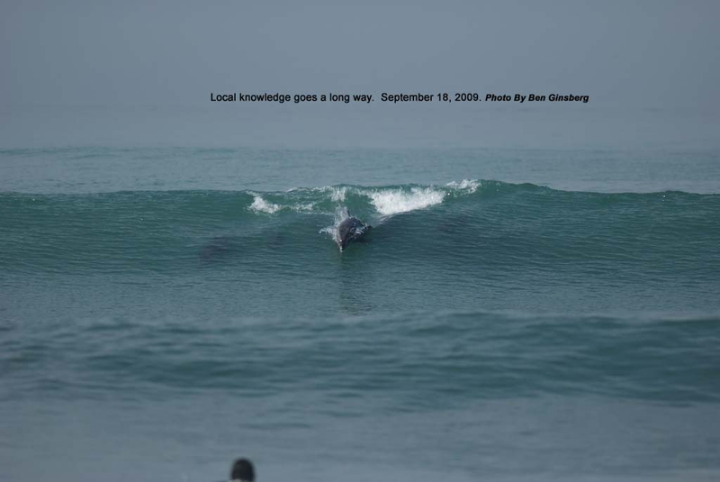 BGinsberg_2009-09-18_HurleyPro_Trestles_09_dolphinsurf_LR
