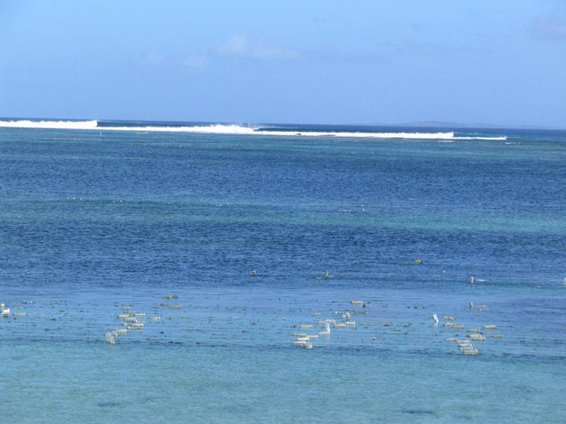 image00954