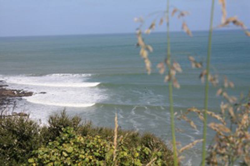 Whale bay, Raglan