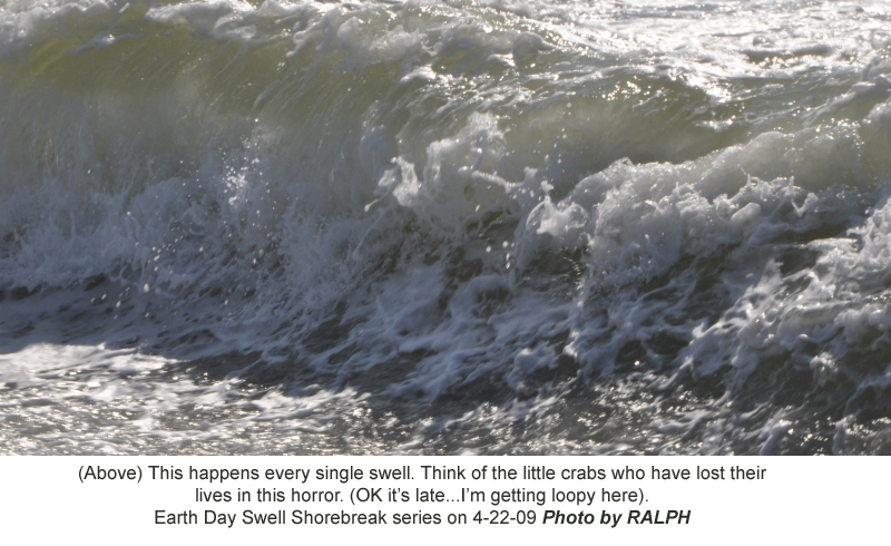 Ralph-ShoreBreak Series8