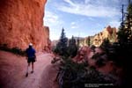 Nevins Bryce Canyon 6