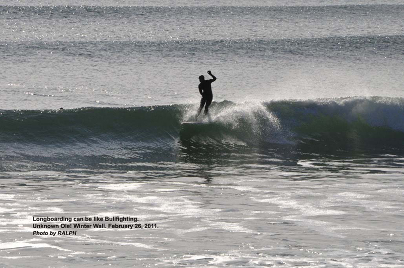 DSC_8768
