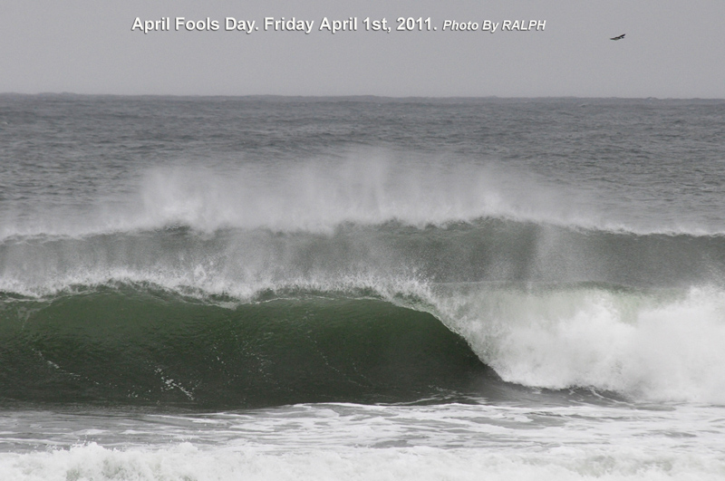 April Fools Day Swell 4-1-2011 BIG 3