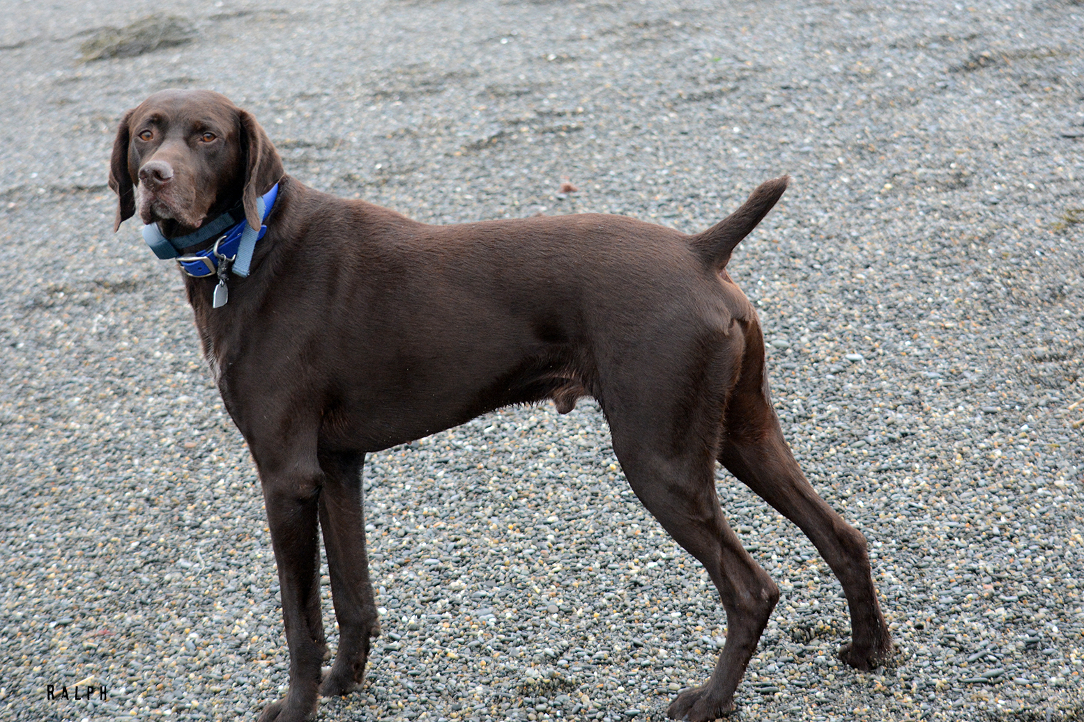 Ralph's Pic of the Week